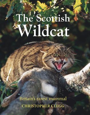 The Scottish Wildcat