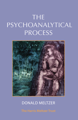 The Psychoanalytical Process