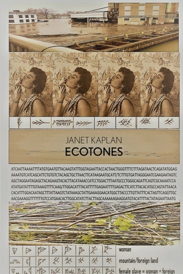 Ecotones