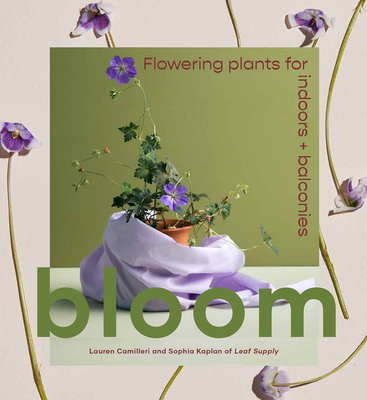 Bloom