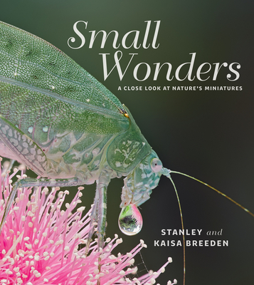 Small Wonders