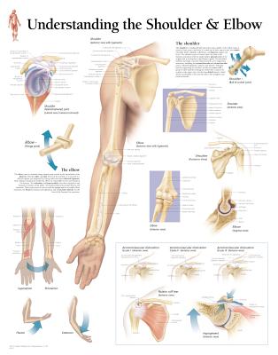 Understanding the Shoulder & Elbow Laminated Poster