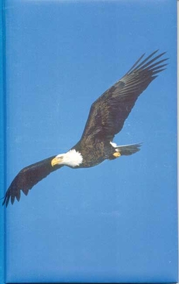 Eagle Blank Journal