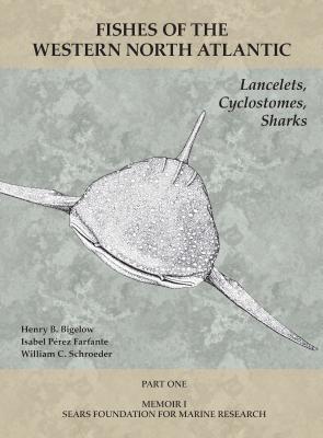 Lancelets, Cyclostomes, Sharks