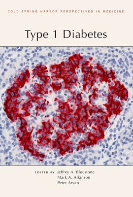 Type 1 Diabetes
