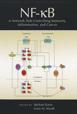 Nf-Kb, a Network Hub Controlling Immunity, Inflammation, and Cancer