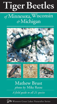 Tiger Beetles of Minnesota, Wisconsin & Michigan