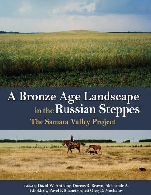 A Bronze Age Landscape in the Russian Steppes