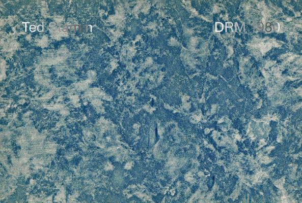 Ted Stamm: DRM 1980