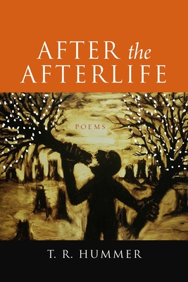 After the Afterlife - Poems