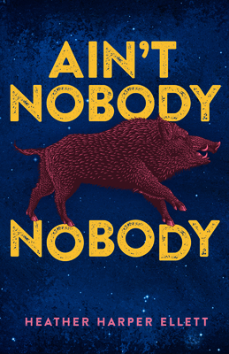 Ain't Nobody Nobody