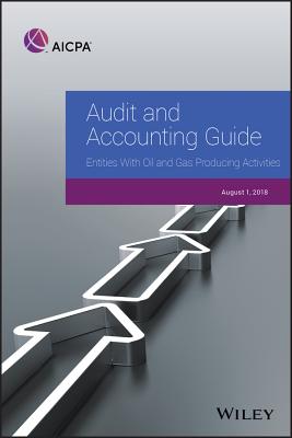 Audit and Accounting Guide