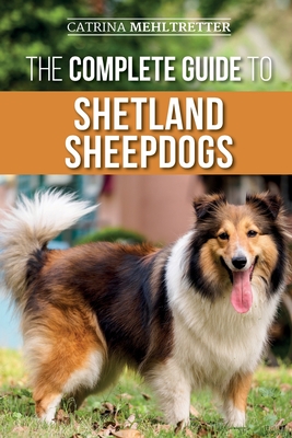 The Complete Guide to Shetland Sheepdogs