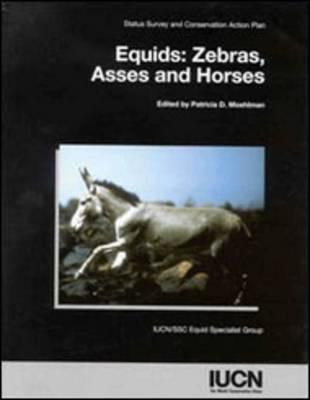 Equids