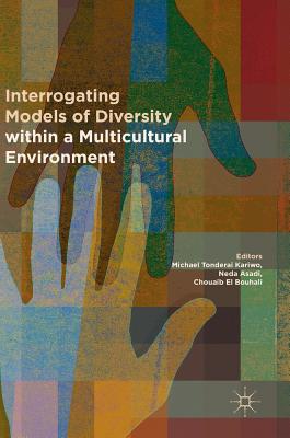 Interrogating Models of Diversity within a Multicultural Environment