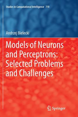 Models of Neurons and Perceptrons: Selected Problems and Challenges