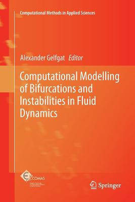 Computational Modelling of Bifurcations and Instabilities in Fluid Dynamics