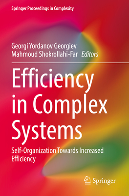 Efficiency in Complex Systems