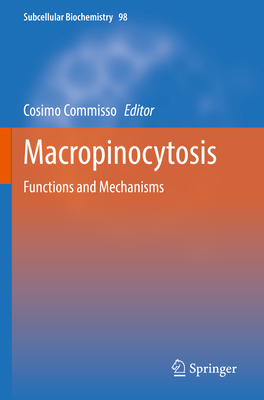 Macropinocytosis