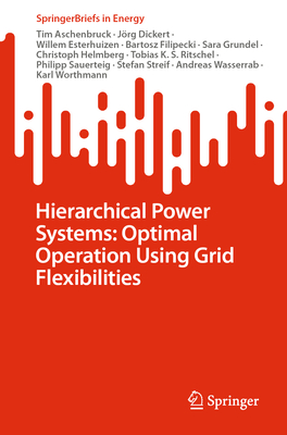 Hierarchical Power Systems