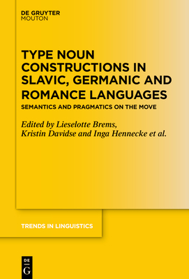 Type Noun Constructions in Slavic, Germanic and Romance Languages
