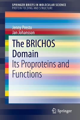 The BRICHOS Domain