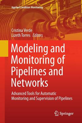 Modeling and Monitoring of Pipelines and Networks