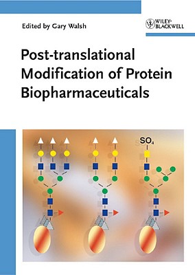 Post-translational Modification of Protein Biopharmaceuticals