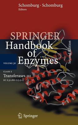 Class 2 Transferases III