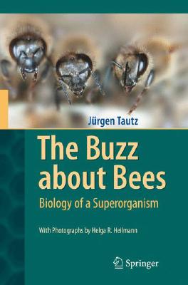 The Buzz about Bees