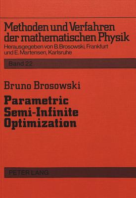 Parametric Semi-Infinite Optimization