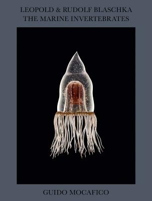 Guido Mocafico: Leopold & Rudolf Blaschka. The Marine Invertebrates