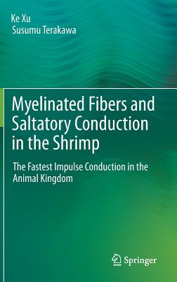 Myelinated Fibers and Saltatory Conduction in the Shrimp