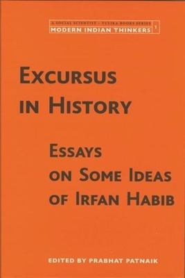 Excursus in History - Essays on Some Ideas of Irfan Habib