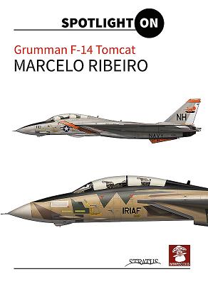 Grumman F-14 Tomcat