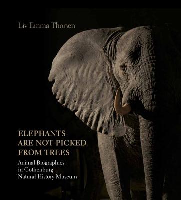 Elephants Are Not Picked from Trees