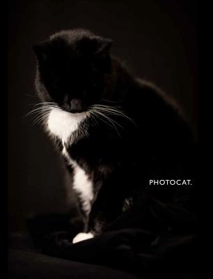 PhotoCat.