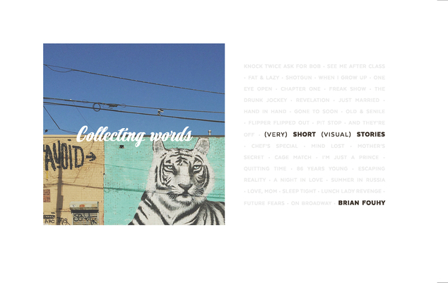 Collecting Words