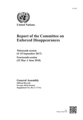 Report of the Committee on the Enforced Disappearances