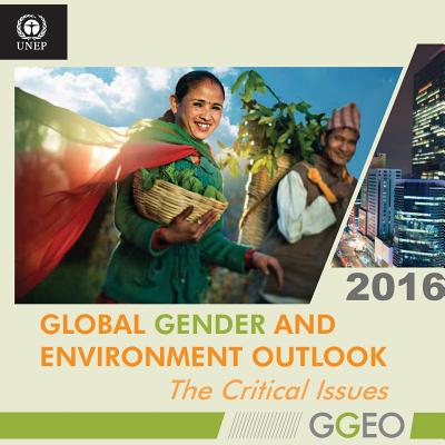 Global gender and environment outlook 2016