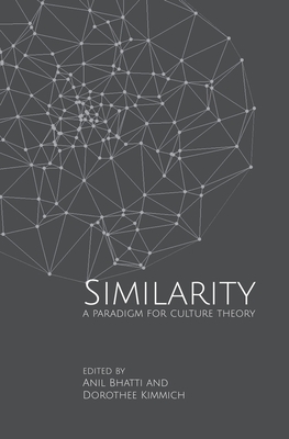 Similarities - A Paradigm for Culture Theory