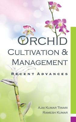Orchid