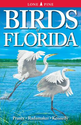 Birds of Florida