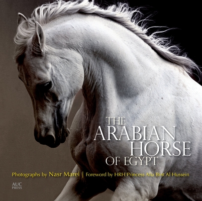 The Arabian Horse of Egypt