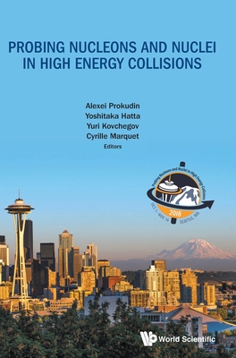 Probing Nucleons And Nuclei In High Energy Collisions - Proceedings Of The Int Program Int-18-3