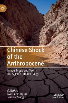 Chinese Shock of the Anthropocene