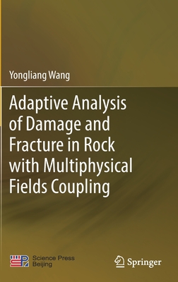 Adaptive Analysis of Damage and Fracture in Rock with Multiphysical Fields Coupling