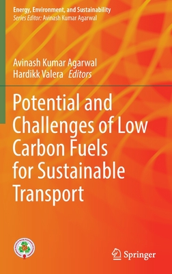 Potential and Challenges of Low Carbon Fuels for Sustainable Transport