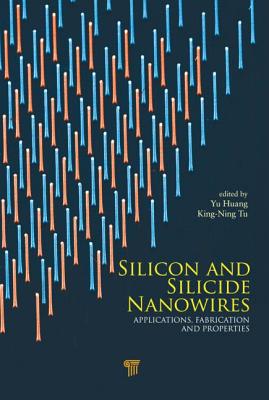 Silicon and Silicide Nanowires