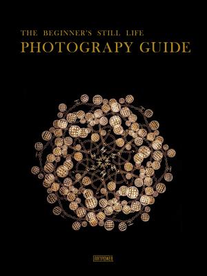 The Beginner's Still Life Photography Guide